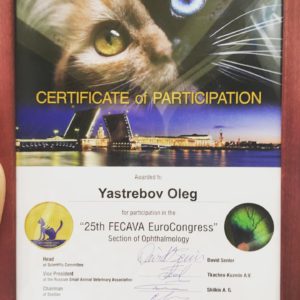 Ветеринар офтальмолог Олег Ястребов, Хирургическое лечение катаракты у собак и кошек, Спб